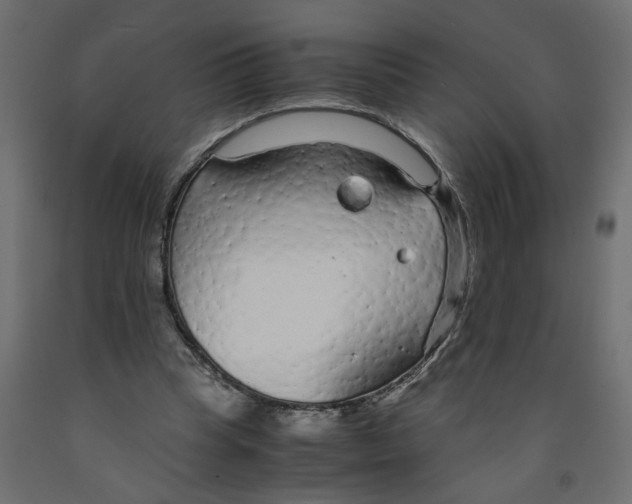 X0000091980345200710041114