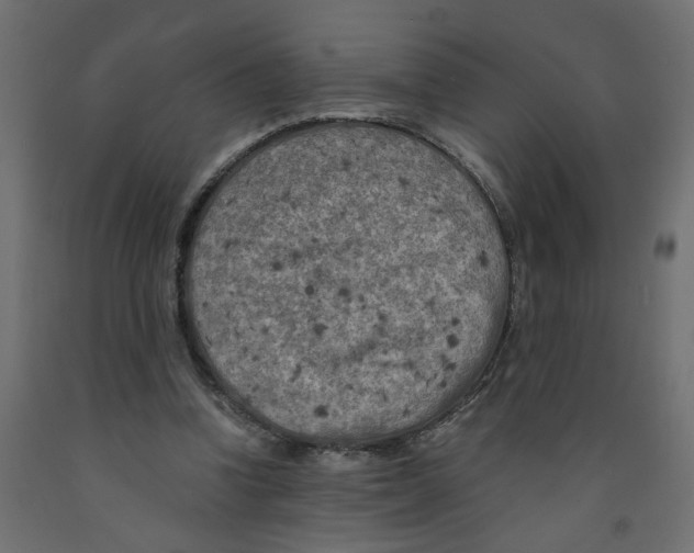 X0000091980346200710041114