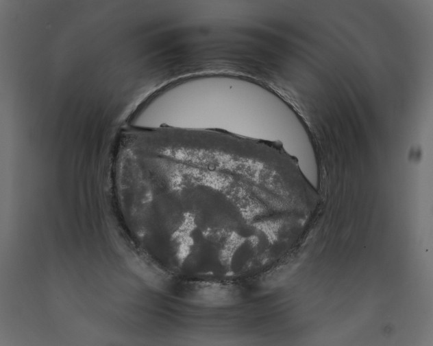 X0000091980347200710041114