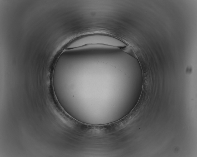 X0000091980350200710041114
