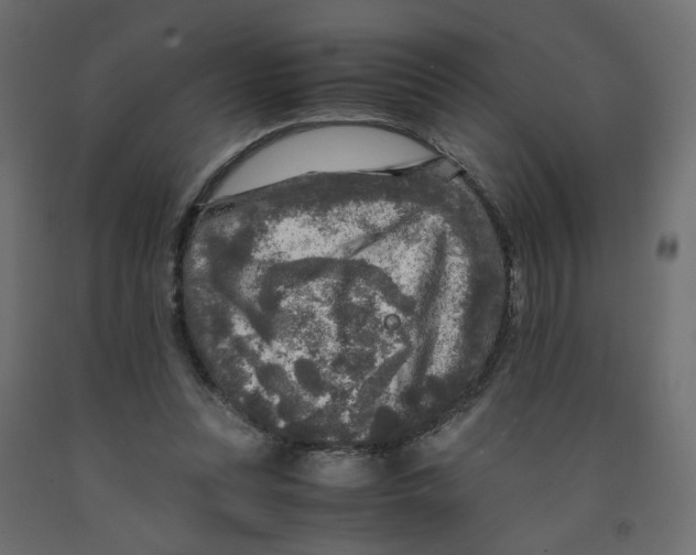 X0000091980351200710041114