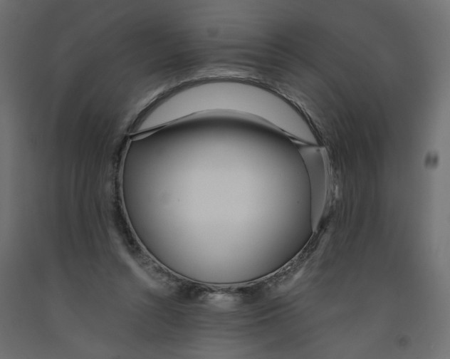 X0000091980352200710041114