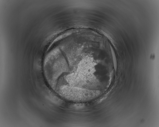 X0000091980353200710041114