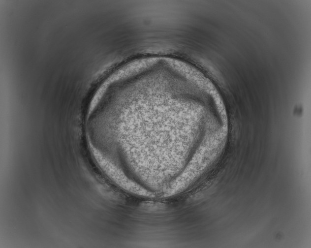 X0000091980354200710041114