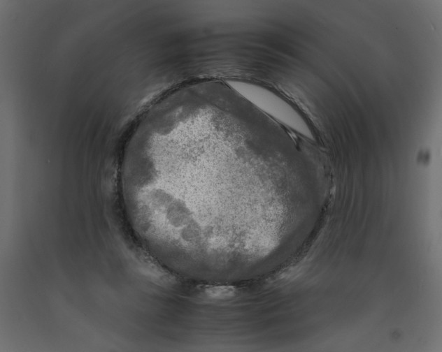 X0000091980355200710041114