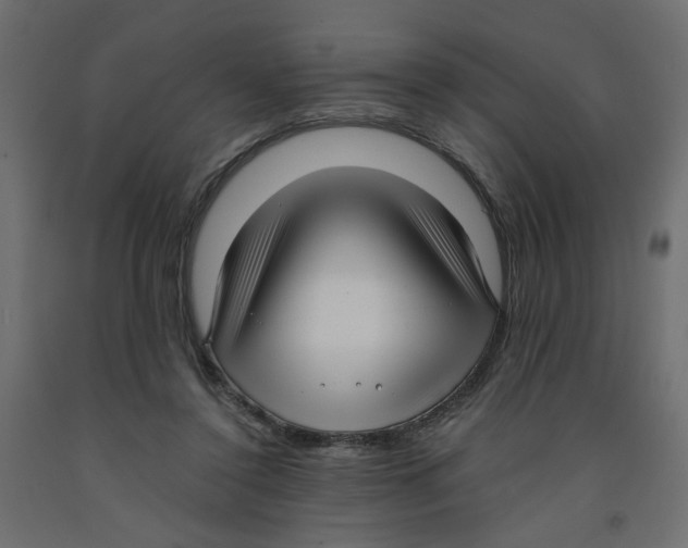 X0000091980356200710041114