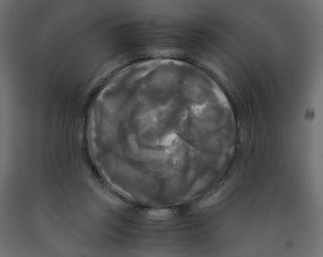 X0000091980357200710041114