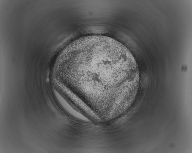X0000091980358200710041114
