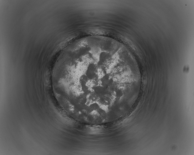 X0000091980359200710041114