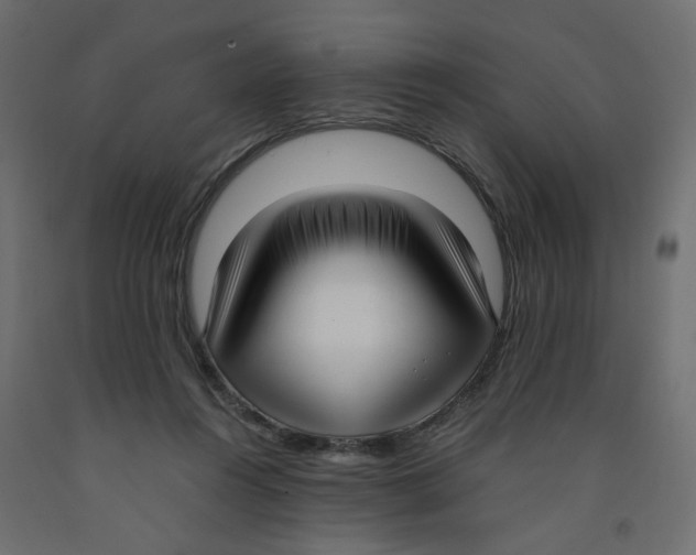 X0000091980360200710041114