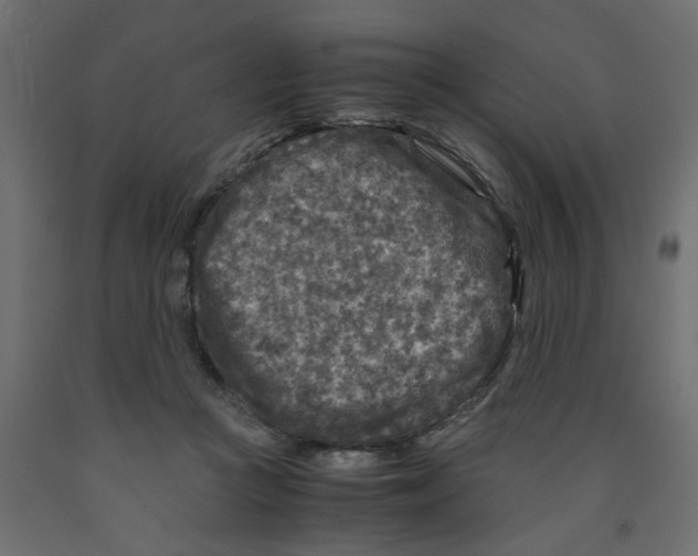 X0000091980361200710041114