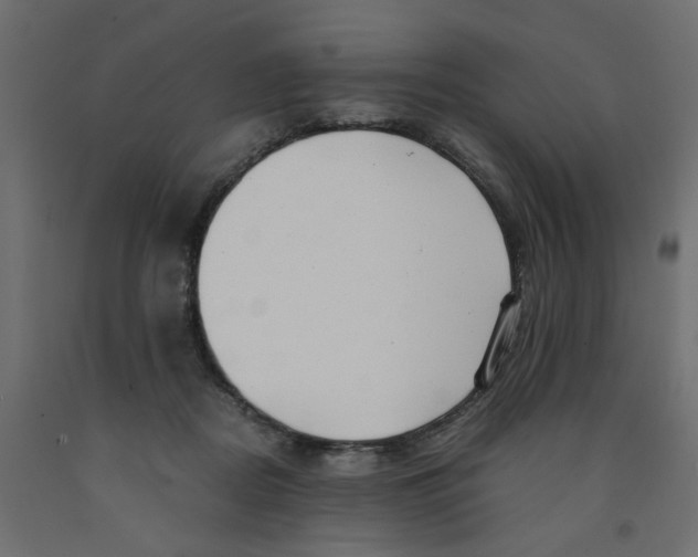 X0000091980362200710041114