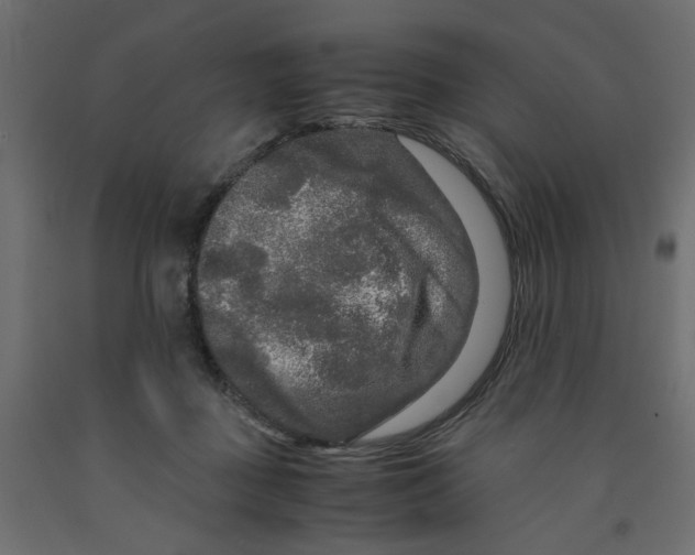 X0000091980363200710041114