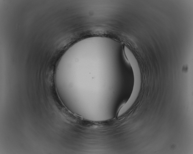 X0000091980364200710041114
