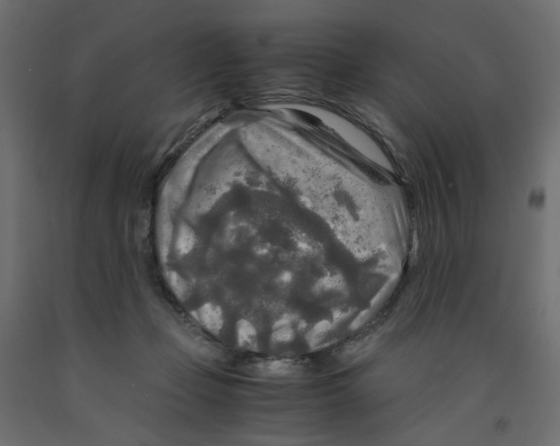 X0000091980365200710041114