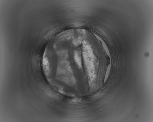 X0000091980366200710041114