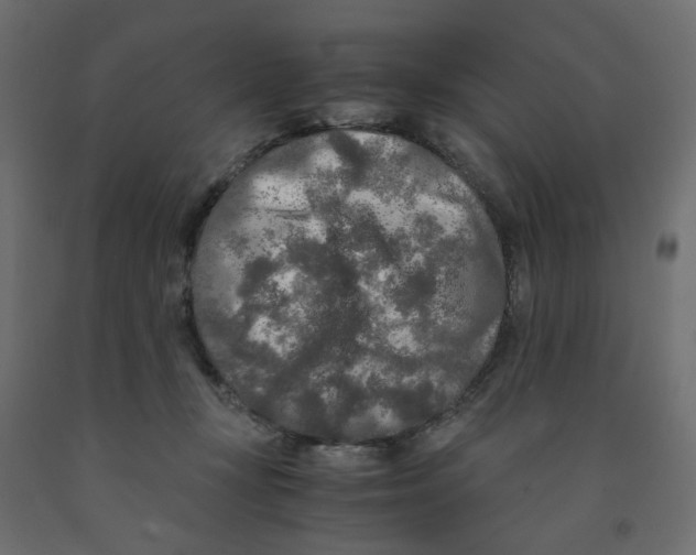 X0000091980367200710041114