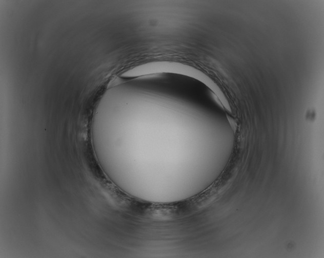 X0000091980368200710041115