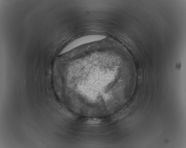 X0000091980369200710041115