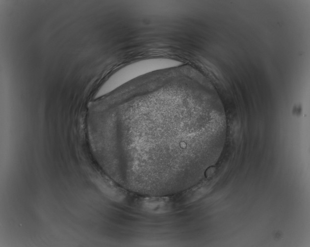 X0000091980373200710041115
