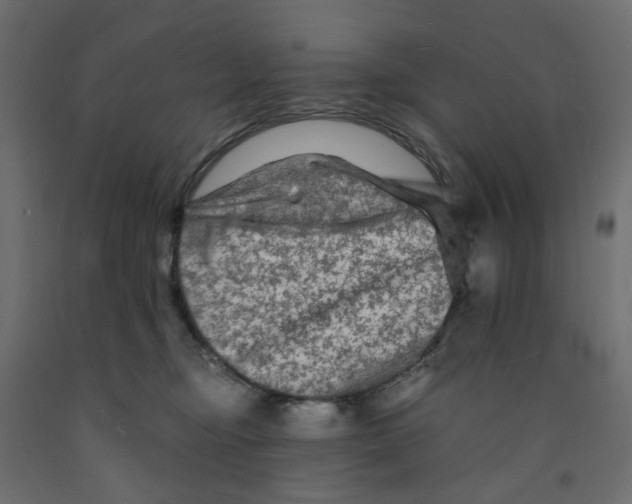 X0000091980374200710041115
