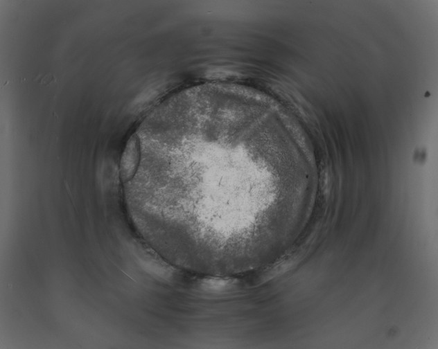 X0000091980375200710041115