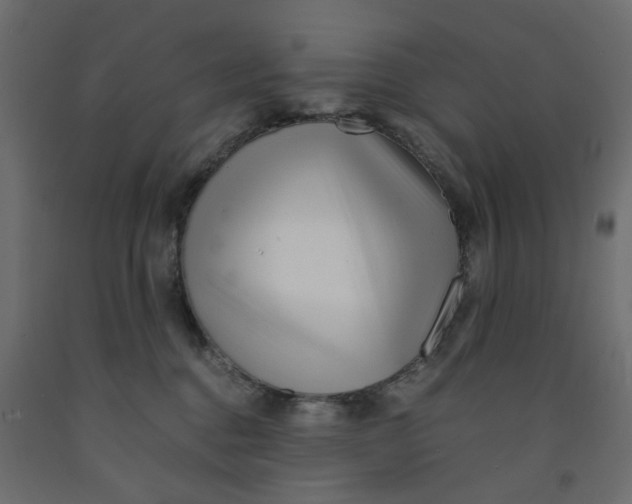X0000091980376200710041115