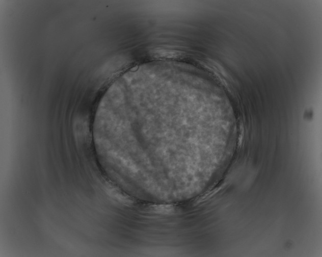 X0000091980377200710041115