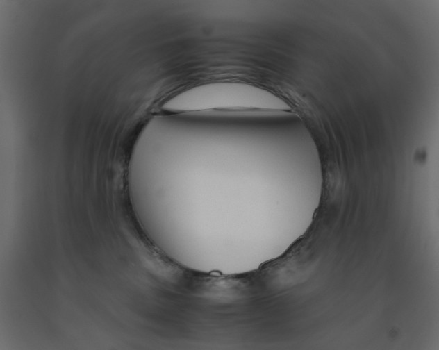 X0000091980379200710041115