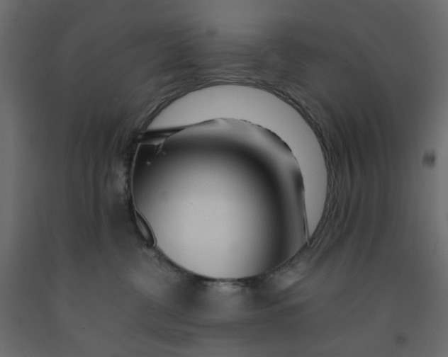 X0000091980380200710041115