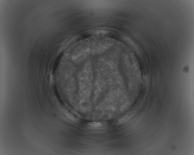 X0000091980381200710041115