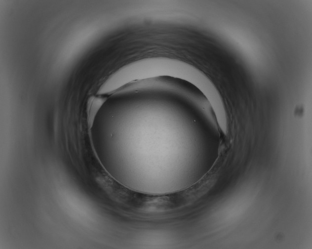 X0000091980382200710041115