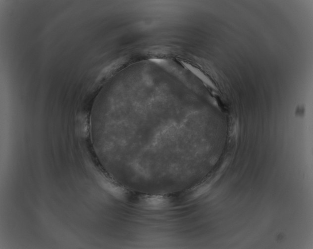 X0000091980383200710041115