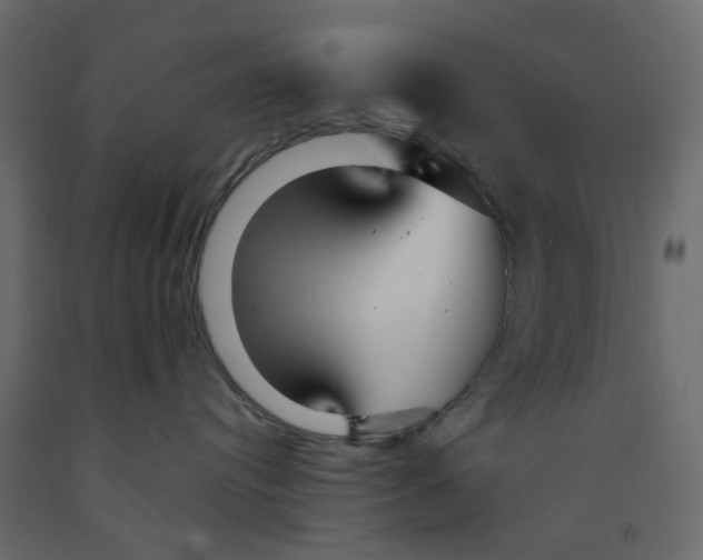 X0000091980384200710041115