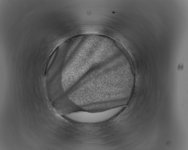 X0000091980385200710041114