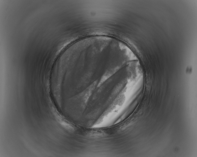 X0000091980386200710041114