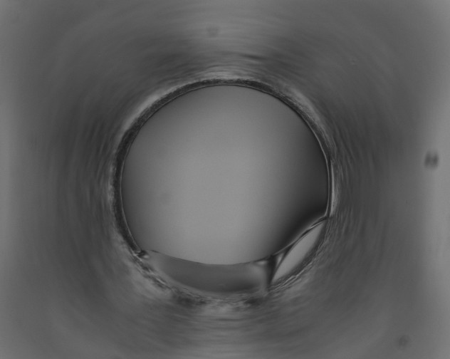 X0000091980387200710041114