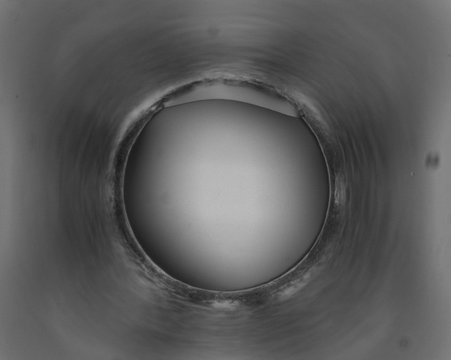 X0000091980388200710041114