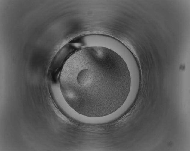 X0000091980389200710041114