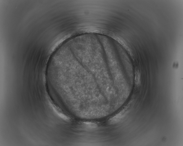 X0000091980390200710041114