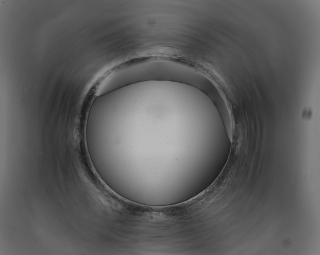 X0000091980392200710041114