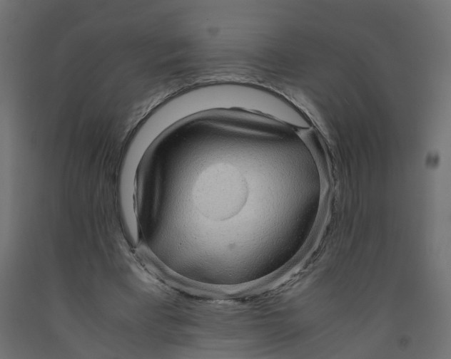 X0000091980393200710041114