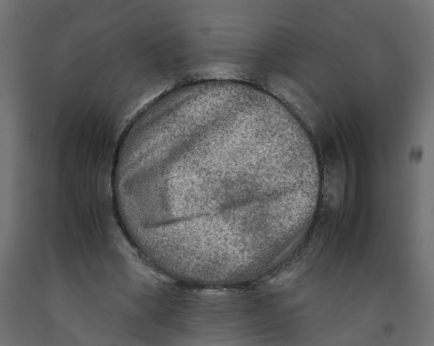 X0000091980394200710041114
