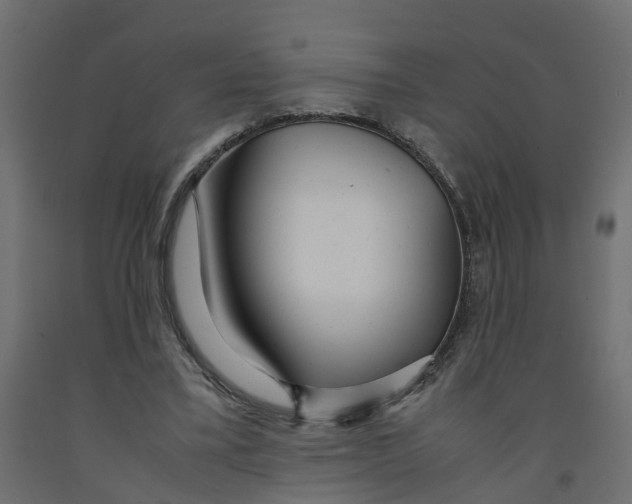 X0000091980395200710041114