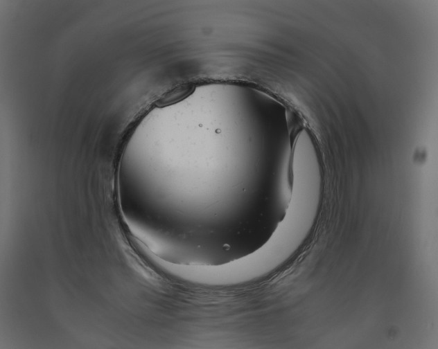 X0000091980397200710041114