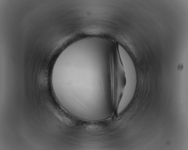 X0000091980400200710041114