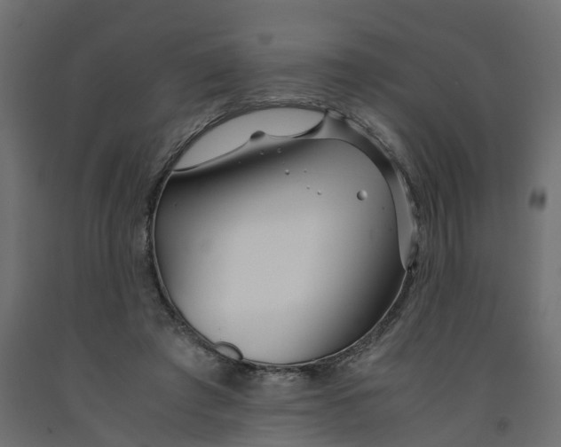 X0000091980401200710041114