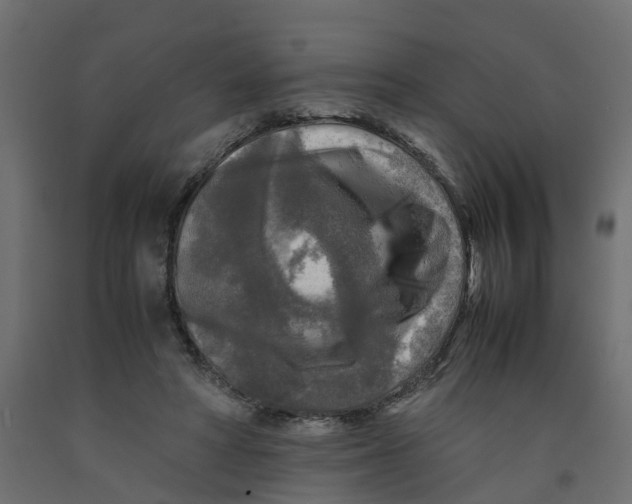 X0000091980402200710041114