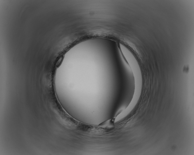 X0000091980403200710041114