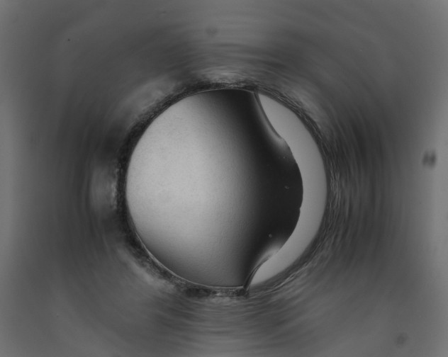 X0000091980404200710041114